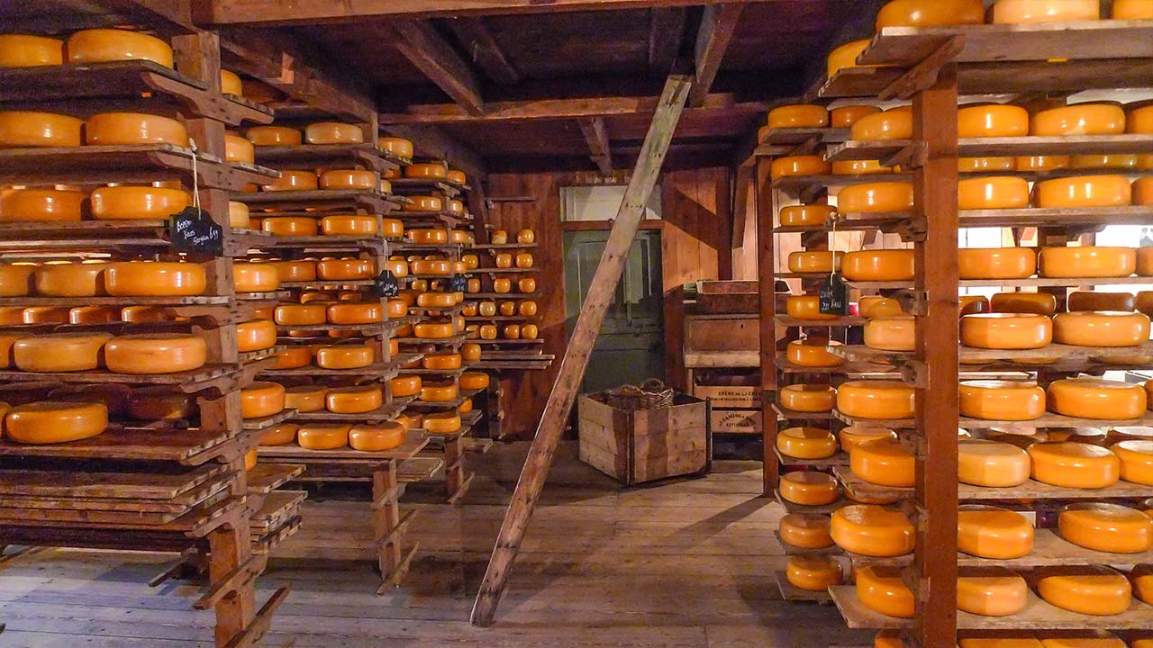 Сырная ферма, Голландская провинция, голландский сыр, Нидерланды, голландская деревня