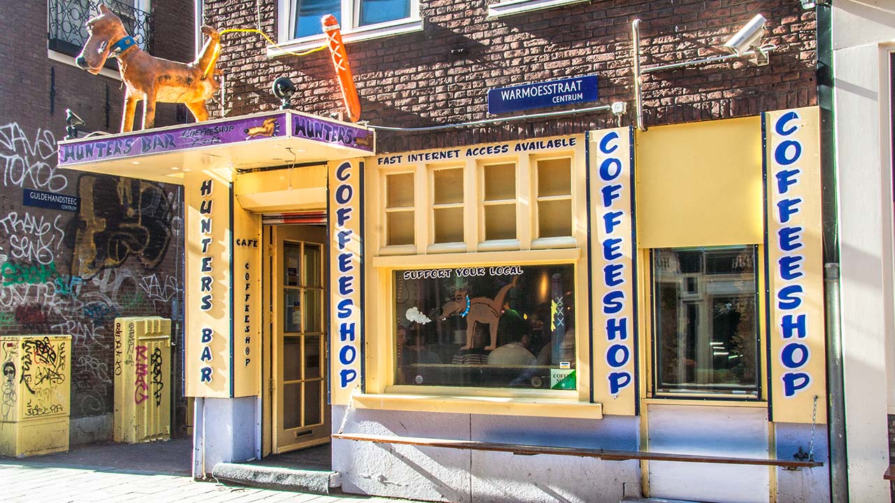 Марихуана амстердам кофешоп марихуана купить семена украина