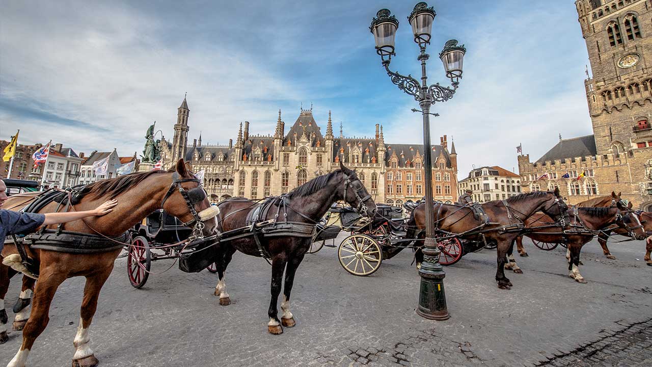Брюгге рыночная площадь гранд плас конное такси извозчик карета повозка экипаж кучер белфорд дом правительства