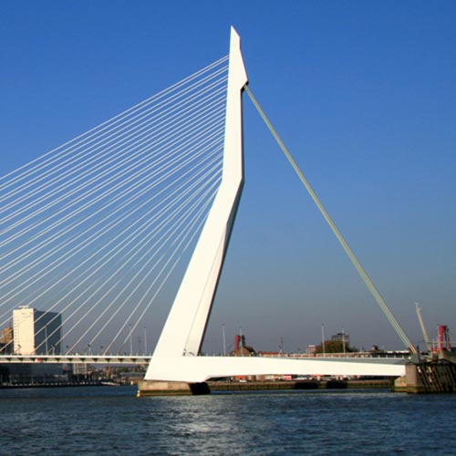 Ротердам мост Эразма лебедь Маас порт