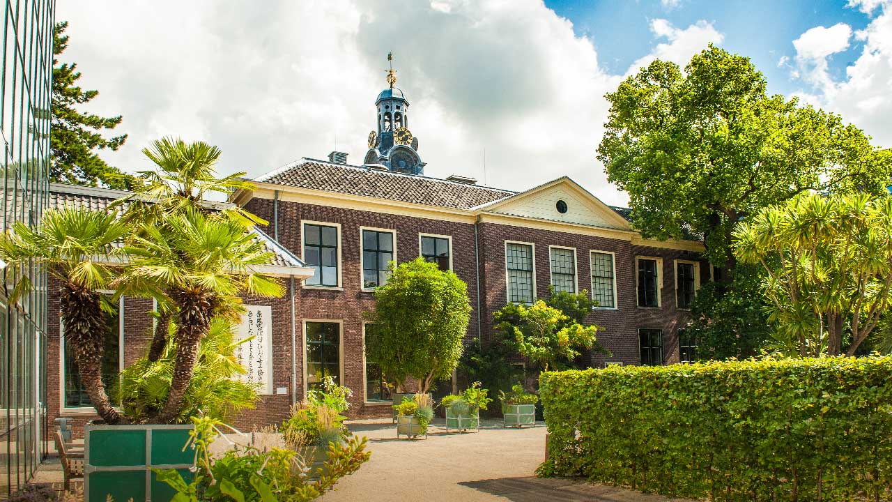 Leiden University and botanical garden