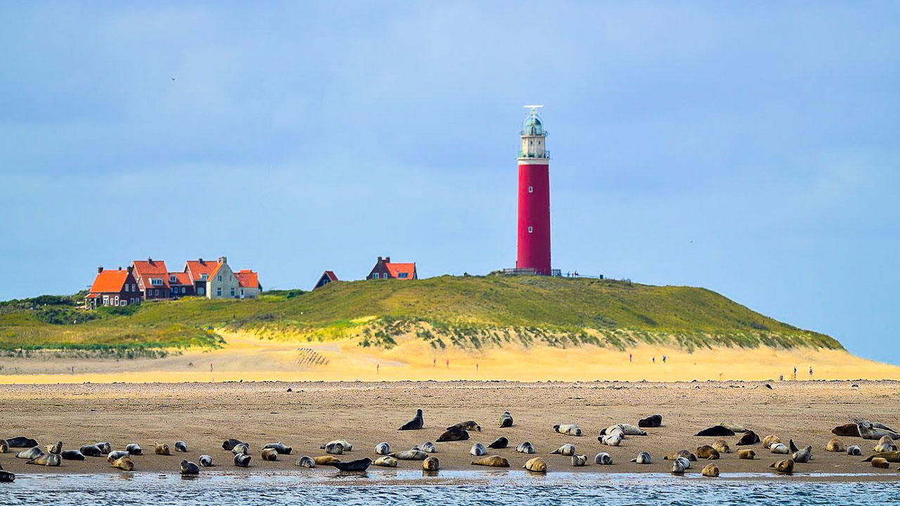 лежбище тюленей на острове Тексел, маяк на острове Тексел, Фризские острова, Ваттово море